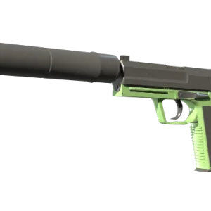 USP-S | Para Green (Factory New)