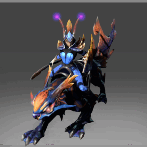 Reef Kyte Rider