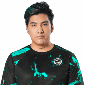 Gold stingeR Player Sticker - TI 2023