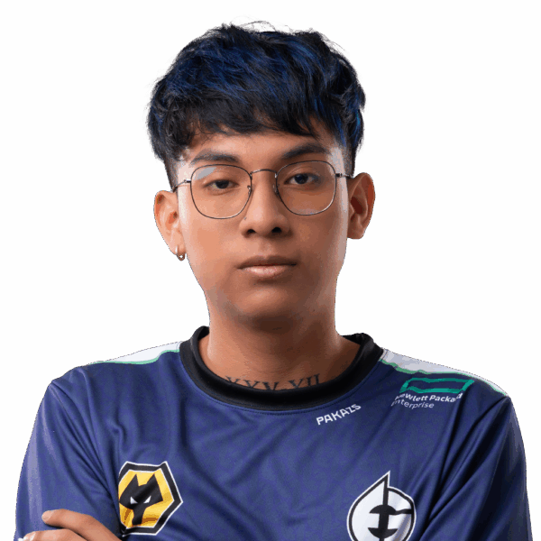 Holo Pakazs Player Sticker - TI 2023