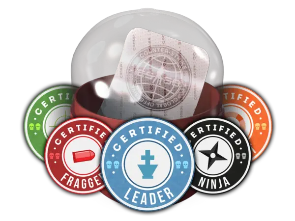 Team Roles Capsule