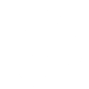 Team Spirit Team Sticker - TI 2023 Champion