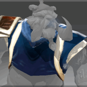 Heroic Bobusang's Jacket