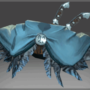 Inscribed Penumbral Shawl