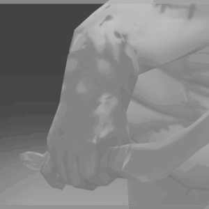 Inscribed Pudge's Bare Arm