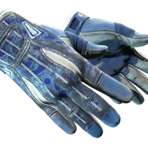 ★ Sport Gloves | Amphibious (Battle-Scarred)