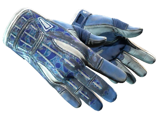 ★ Sport Gloves | Amphibious (Battle-Scarred)