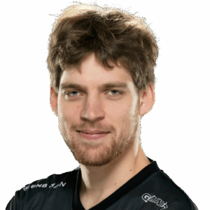 Gold Seleri Player Sticker - TI 2024