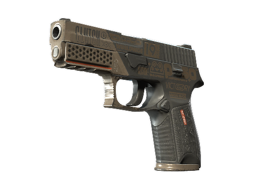P250 | Bullfrog (Well-Worn)