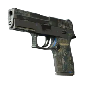 P250 | Exchanger (Battle-Scarred)