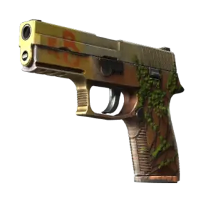 P250 | Inferno (Field-Tested)