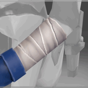 Spirit of the Sacred Grove - Arms