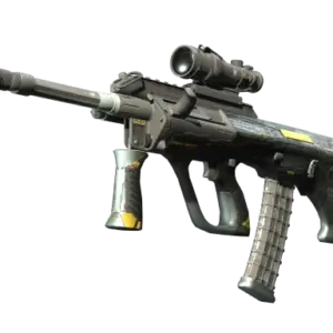 StatTrak™ AUG | Tom Cat (Field-Tested)