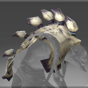 Heroic Headdress Of The Yuwipi