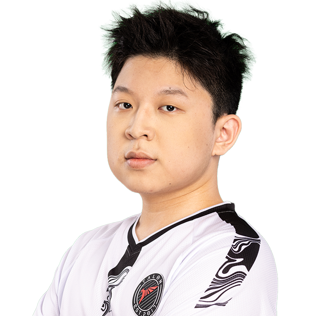 Holo Ws` Player Sticker - TI 2024