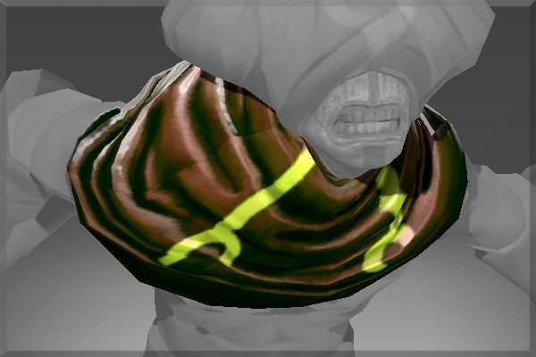 Inscribed Mantle of the Acolyte of Clasz