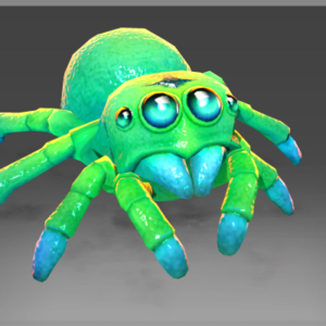 Lycosidae's Spiderling