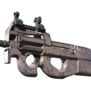 P90 | Wash me (Well-Worn)