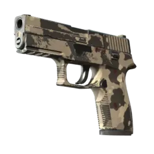 Souvenir P250 | Black & Tan (Well-Worn)