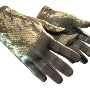 ★ Driver Gloves | Diamondback (Factory New)