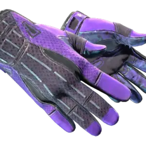 ★ Sport Gloves | Pandora's Box (Field-Tested)