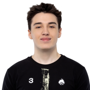 Collapse Player Sticker - TI 2025