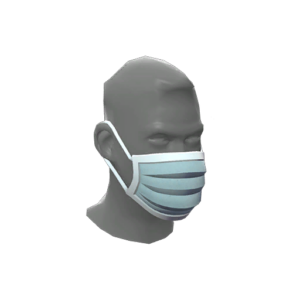 Particulate Protector