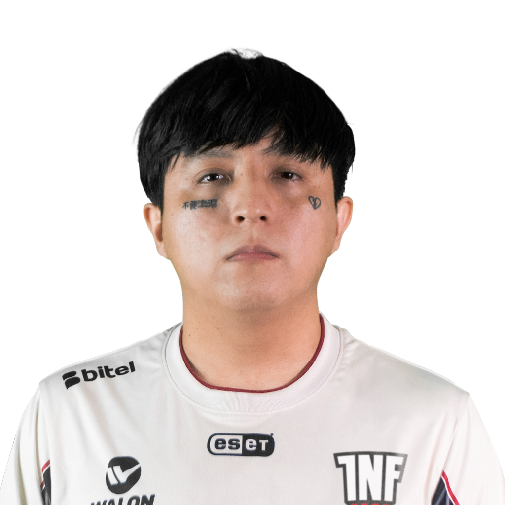 Affliction Player Sticker - TI 2022