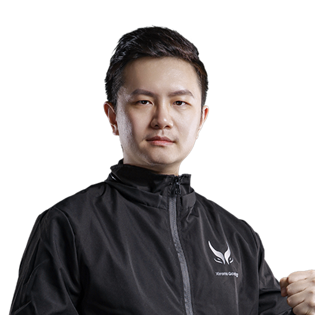 Dy Player Sticker - TI 2022