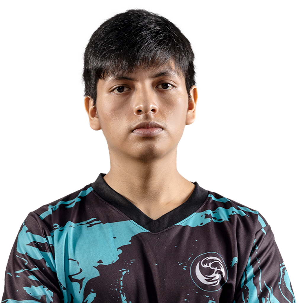 Gold payk Player Sticker - TI 2024