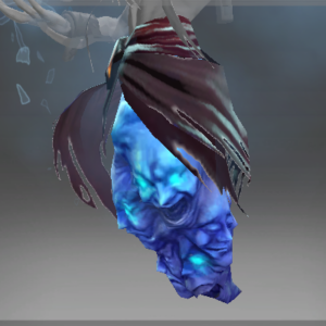 Inscribed Cloak of the Frost Lord