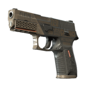P250 | Bullfrog (Well-Worn)