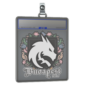 Sticker Slab | Team Spirit | Budapest 2025