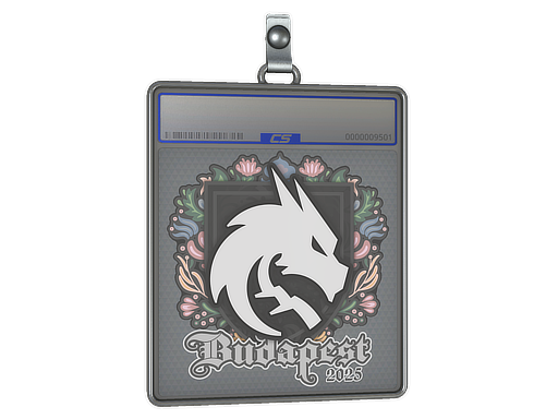 Sticker Slab | Team Spirit | Budapest 2025