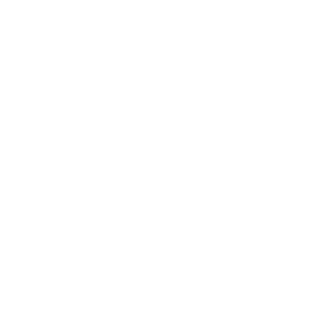 Tundra Esports Team Sticker - TI 2025