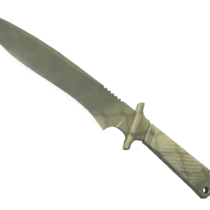 ★ Classic Knife | Safari Mesh (Factory New)