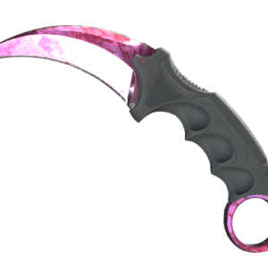 ★ StatTrak™ Karambit | Doppler Phase 2 (Factory New)