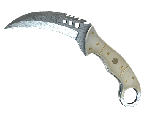 ★ StatTrak™ Talon Knife | Damascus Steel (Factory New)