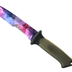★ StatTrak™ Ursus Knife | Doppler Phase 1 (Factory New)
