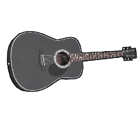 Black Acoustic Guitar