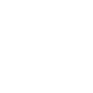 Holo Tundra Esports Team Sticker - TI 2022 Champion
