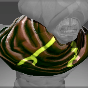 Inscribed Mantle of the Acolyte of Clasz