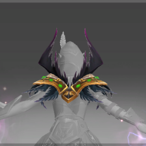 Inscribed Mantle of the Concealed Raven