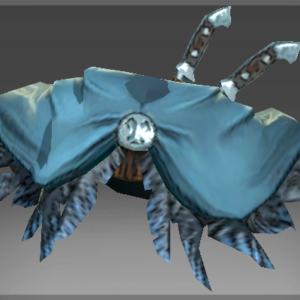 Inscribed Penumbral Shawl