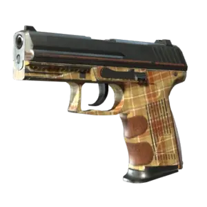 P2000 | Coach Class (Well-Worn)