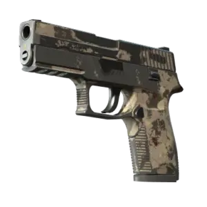 P250 | Black & Tan (Battle-Scarred)