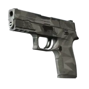 P250 | Facets (Well-Worn)