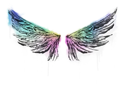 Sealed Graffiti | Wings