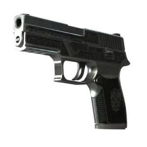 StatTrak™ P250 | Cartel (Well-Worn)