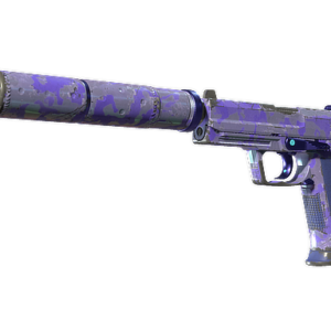 USP-S | Sleeping Potion (Field-Tested)